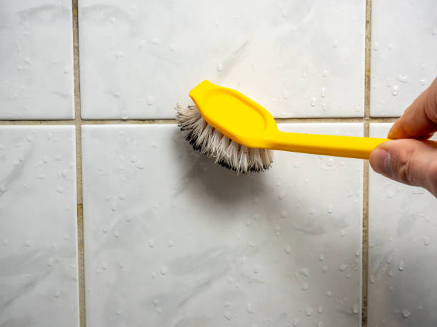 Best Fast Mold Removal  in Dunthpe, OR