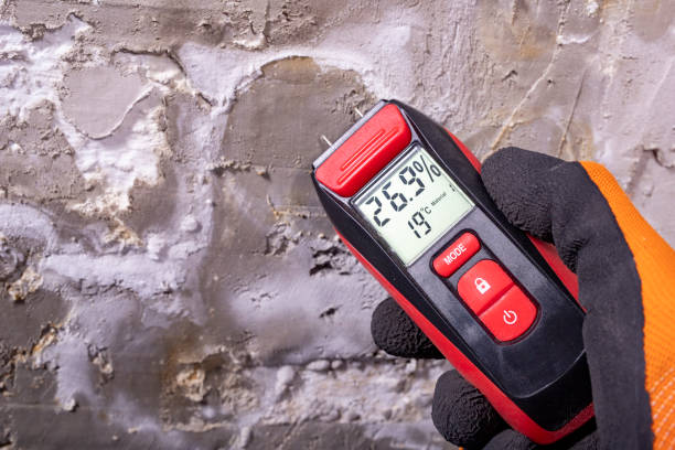 Mold Removal and Inspection in Dunthorpe, OR